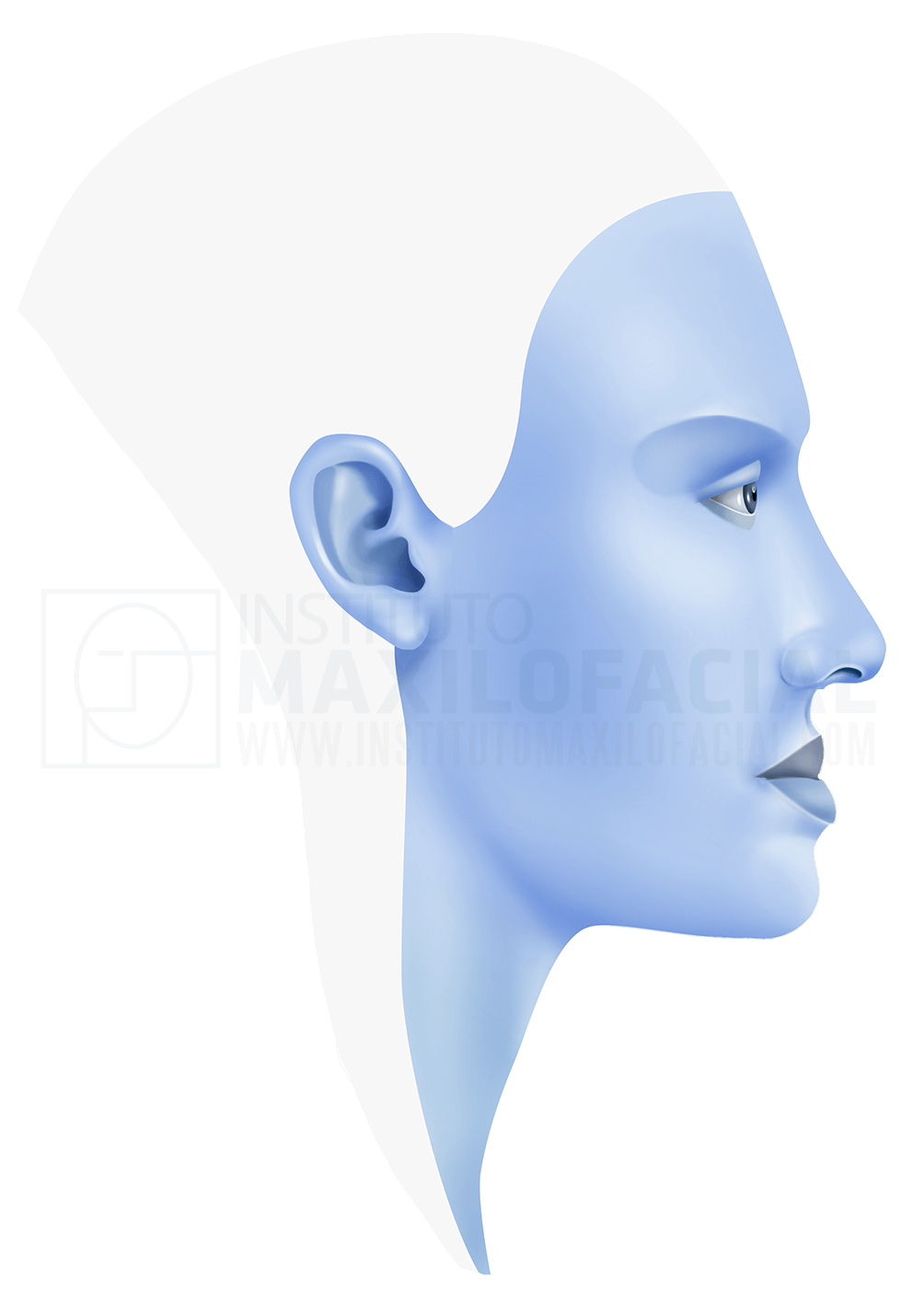 ferpa on X: prognatismo mandibular (maxilar inferior proeminente