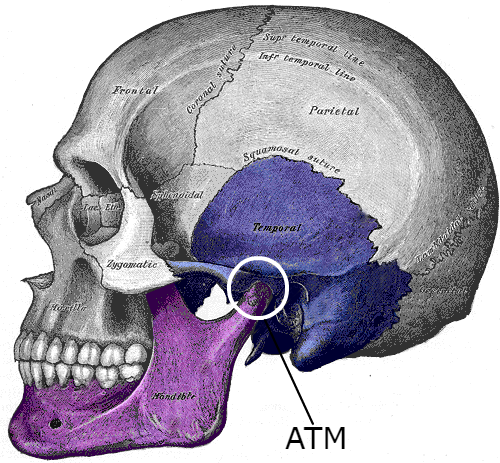 Monarca invención hipótesis Por qué cruje mi mandíbula? - Instituto Maxilofacial